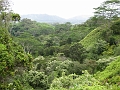 12 Kuilau Ridge trail